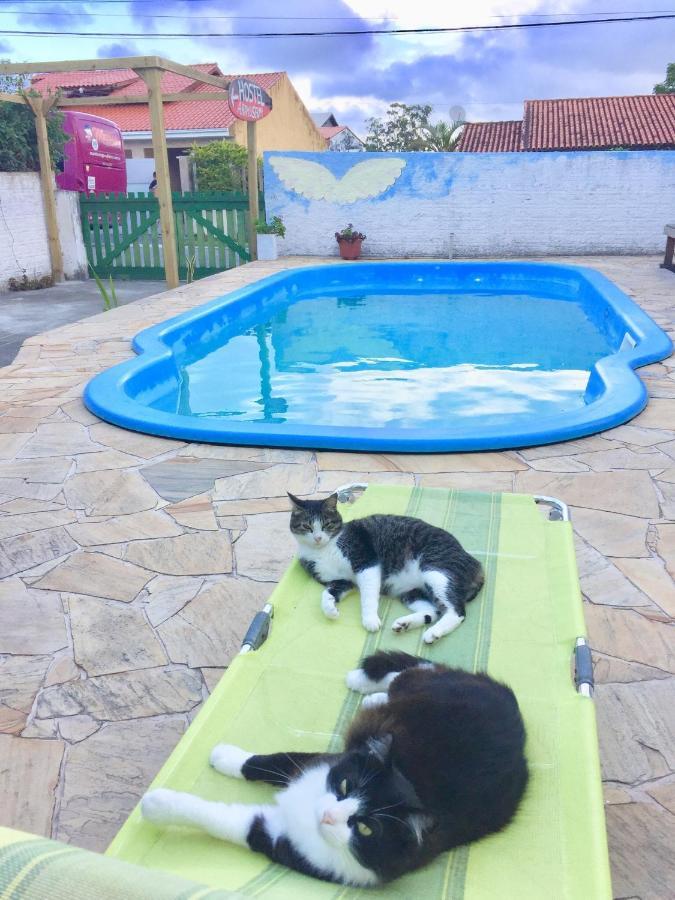 Hostel Mueller Na Praia De Mocambique Florianópolis Εξωτερικό φωτογραφία